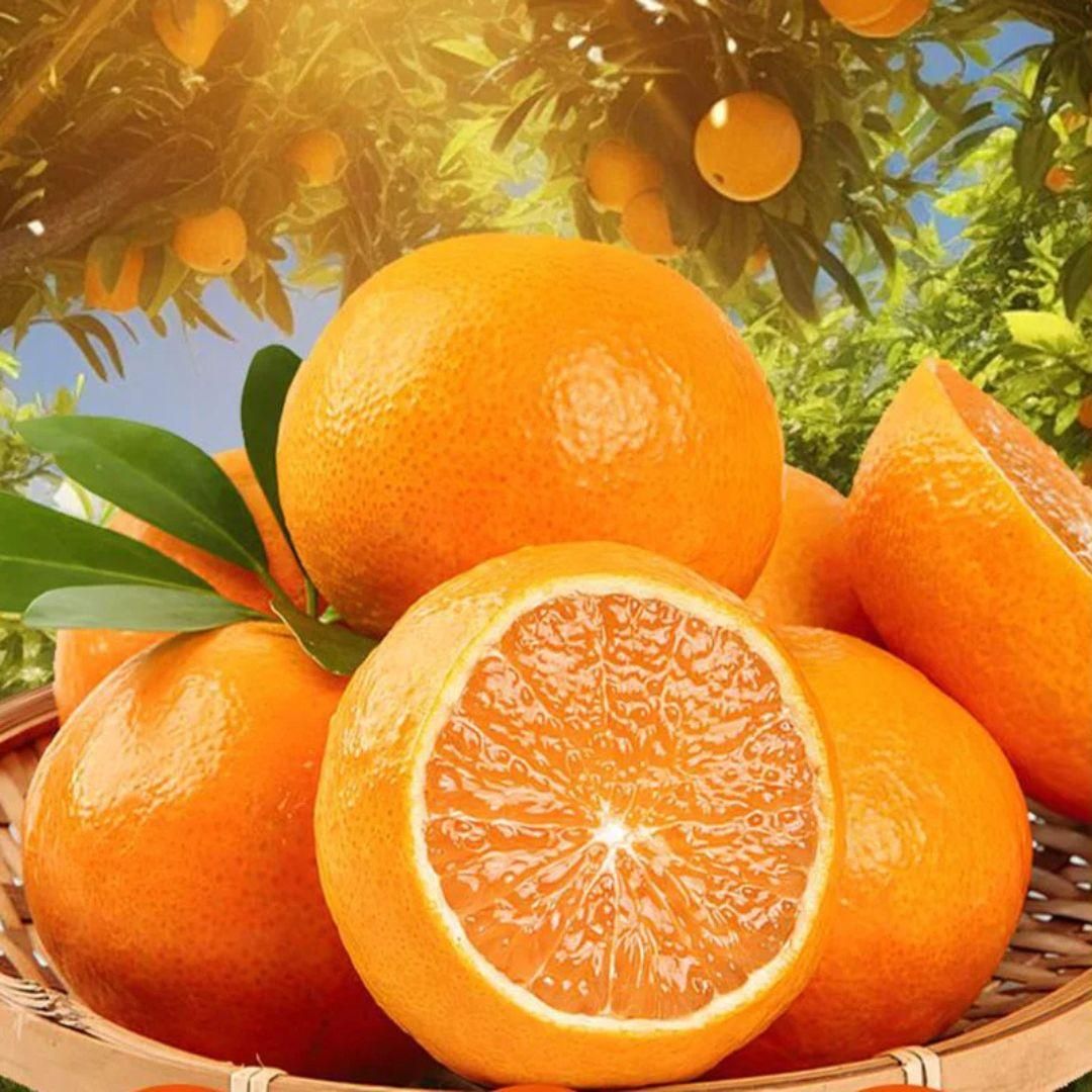 Jelly Orange Seeds